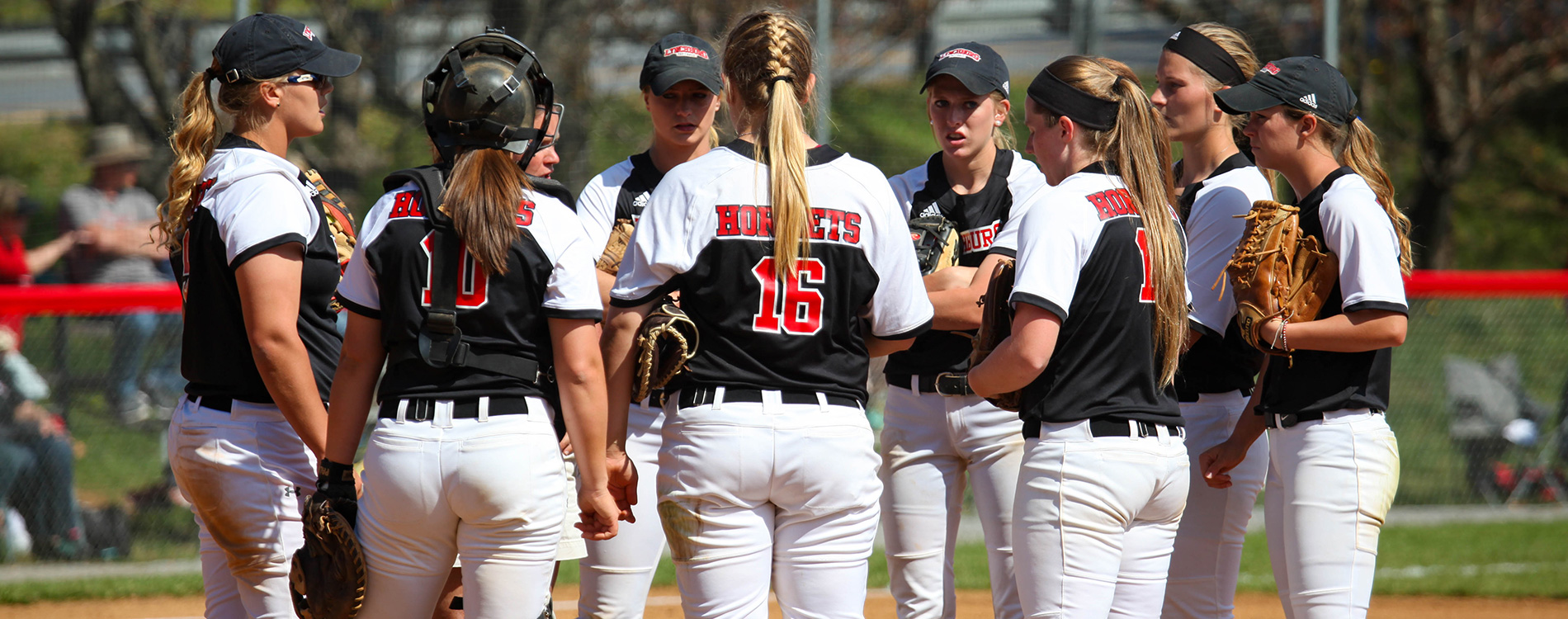 Lynchburg Softball Camps at Lynchburg Lynchburg, Virginia